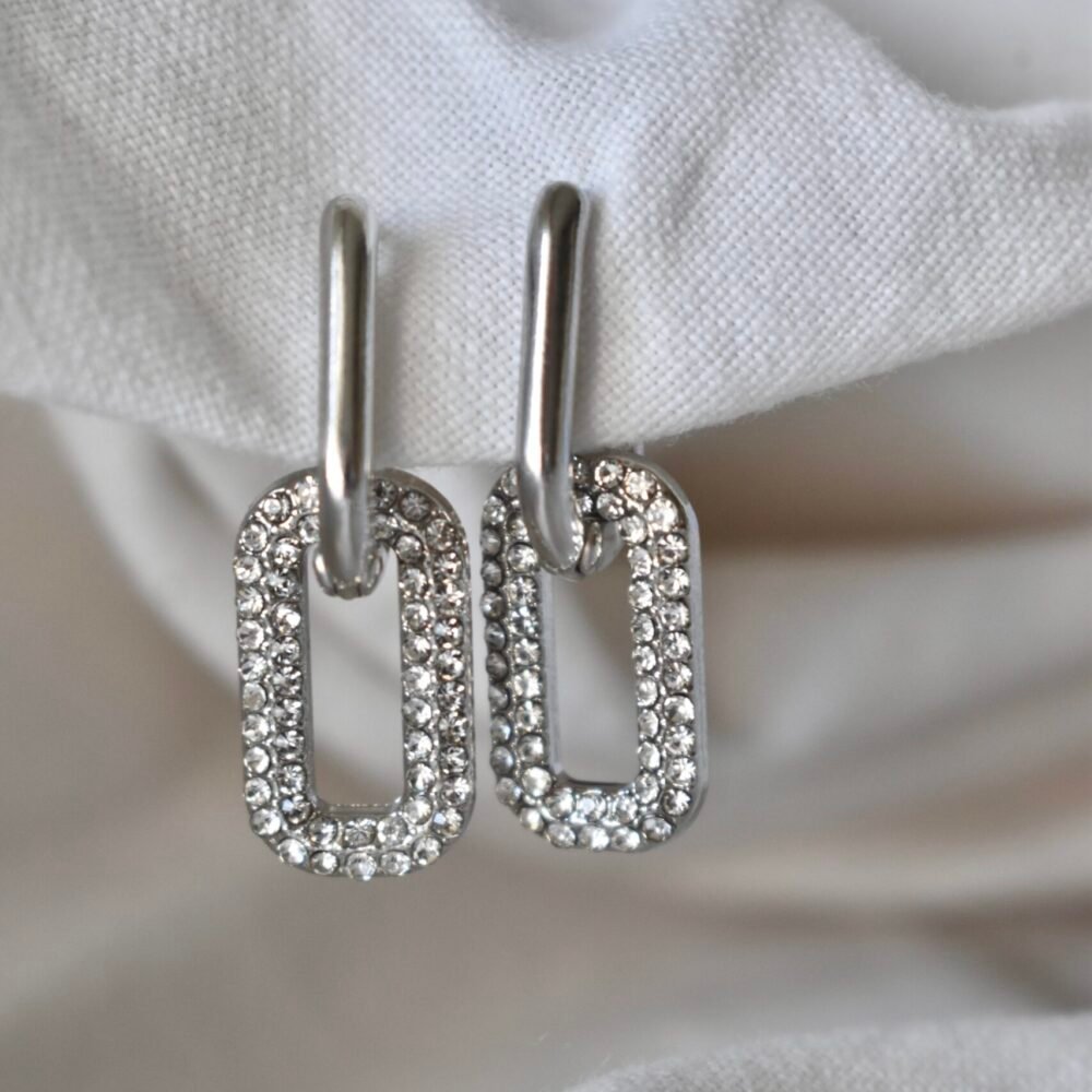 Caravanas Mina Silver