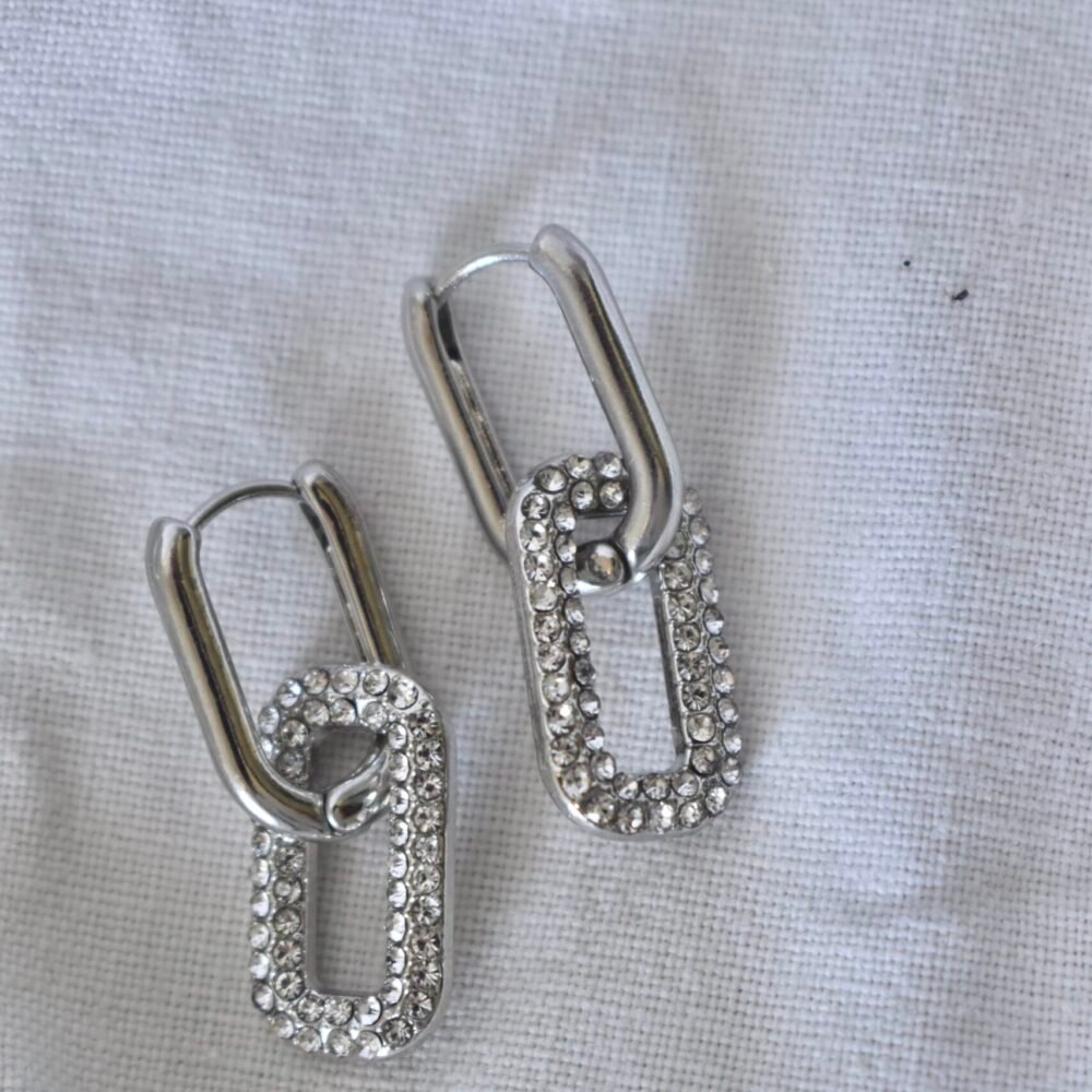 Caravanas Mina Silver