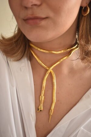 DSC_0678 Accesorio Snake