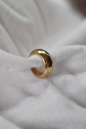 PHOTO-2026-02-16-19-50-19 2 Mini Ear cuff