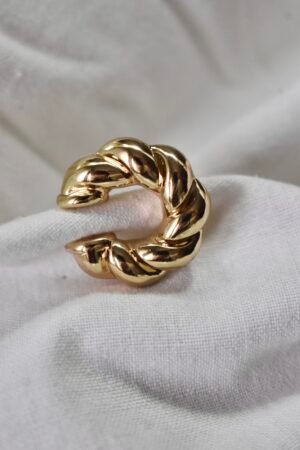 PHOTO-2026-02-16-19-50-19 Ear cuff braid